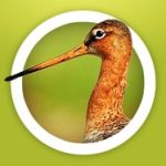 Natuur | startpagina 6