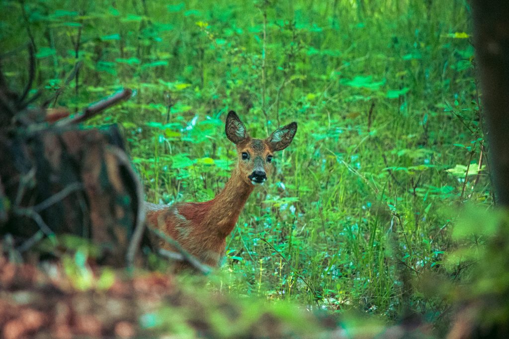 Natuur- en Milieu 8