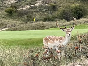 Natuur | nieuws 2025 6